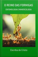 O Reino Das Formigas