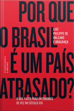 Por Que O Brasil É Um País Atrasado?: O Que Fazer Para Entrarmos De Vez No Século Xxi
