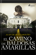 El Camino De Baldosas Amarillas