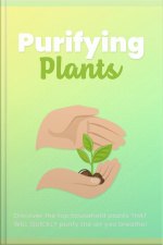Purifying Plants: Discover The Top Household Plants That Will Quickly Purify The Air You Breathe!