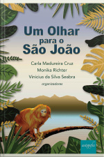Um olhar para o São João