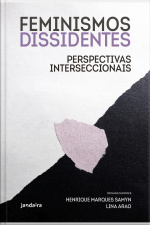 Feminismos Dissidentes: Perspectivas Interseccionais