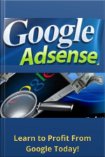 Google Adsense Profits