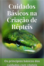 Cuidados Básicos Na Criação De Répteis
