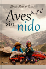 Aves Sin Nido