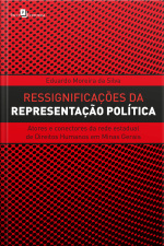 Ressignificações Da Representação Política: Atores E Conectores Da Rede Estadual De Direitos Humanos Em Minas Gerais