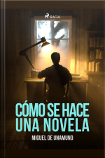 Cómo Se Hace Una Novela