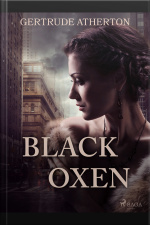 Black Oxen