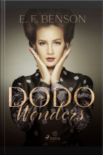 Dodo Wonders