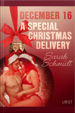 December 16: A Special Christmas Delivery – An Erotic Christmas Calendar