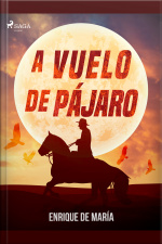 A Vuelo De Pájaro