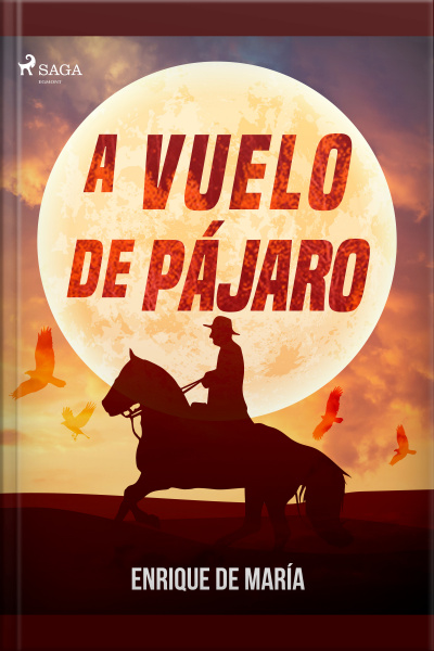 A Vuelo De Pájaro