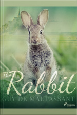 The Rabbit