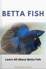 Betta Fish: Learn All About Betta Fish