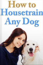 How To Housetrain Any Dog