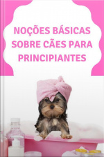 Noções Básicas Sobre Cães Para Principiantes