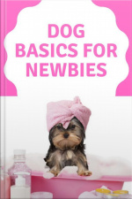 Dog Basics For Newbies