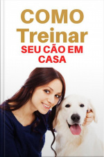 Como Treinar Seu Cão Em Casa
