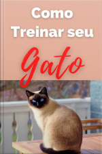 Como Treinar Seu Gato