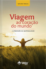 Viagem Ao Coração Do Mundo: A Apreensão Da Imaterialidade
