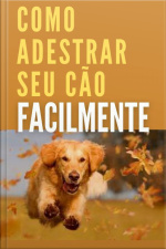 Como Adestrar Seu Cão Facilmente