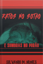 Ratos No Sótão E Sombras No Porão