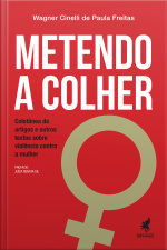 Metendo A Colher: Coletânea De Artigos E Outros Textos Sobre Violência Contra A Mulher