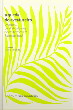A queda do aventureiro