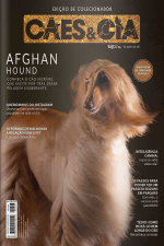 Cães e Cia Ed. 497 - Afghan Hound