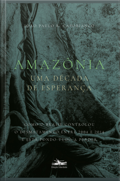 Amazônia: Uma Década De Esperança