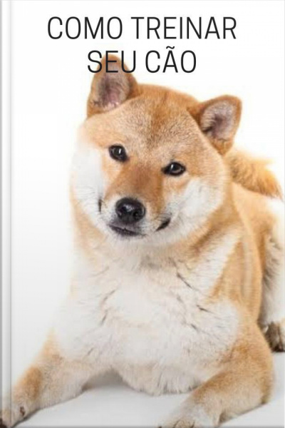 Como Treinar Seu Cão