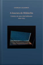 A Loucura De Hölderlin