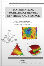 Mathematical Modeling Of Biofuel Synthesis And Storage