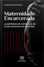 Maternidade Encarcerada: Possibilidade De Substituição Da Prisão Preventiva Em Domiciliar