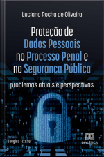 Proteção De Dados Pessoais No Processo Penal E Na Segurança Pública: Problemas Atuais E Perspectivas