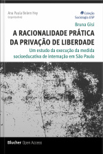A Racionalidade Prática Da Privação De Liberdade: Um Estudo Da Execução Da Medida Socioeducativa De Internação Em São Paulo