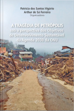 A Tragédia De Petrópolis Sob A Perspectiva Dos Objetivos De Desenvolvimento Sustentável Da Agenda 2030 Da Onu
