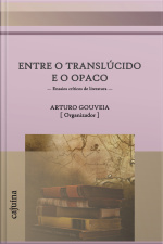 Entre O Translúcido E O Opaco: Ensaios Críticos De Literatura