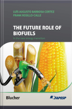 The Future Role Of Biofuels In The New Energy Transition: Lessons And Perspectives Of Biofuels In Brazil