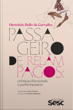 Passageiro De Relâmpagos: Crônicas Friccionais E Perfis Inexatos