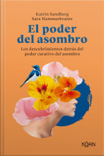 El Poder Del Asombro: Los Descubrimientos Detrás Del Poder Curativo Del Asombro