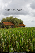 Avieiros, Hoje
