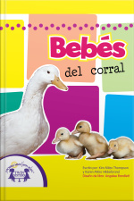 Bebés Del Corral