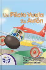 Un Piloto Vuela Su Avión