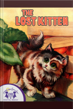 The Lost Kitten