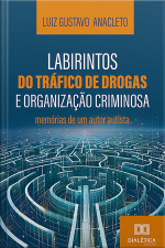 Labirintos Do Tráfico De Drogas E Organização Criminosa: Memórias De Um Autor Autista