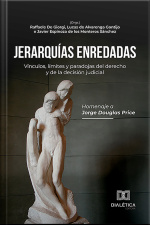 Jerarquías Enredadas: Vínculos, Límites Y Paradojas Del Derecho Y De La Decisión Judicial: Homenaje A Jorge Douglas Price