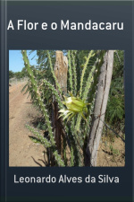 A Flor E O Mandacaru