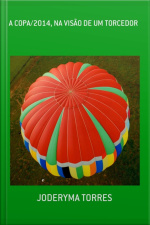 A Copa/2014, Na Visão De Um Torcedor