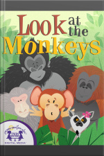 Look At The Monkeys